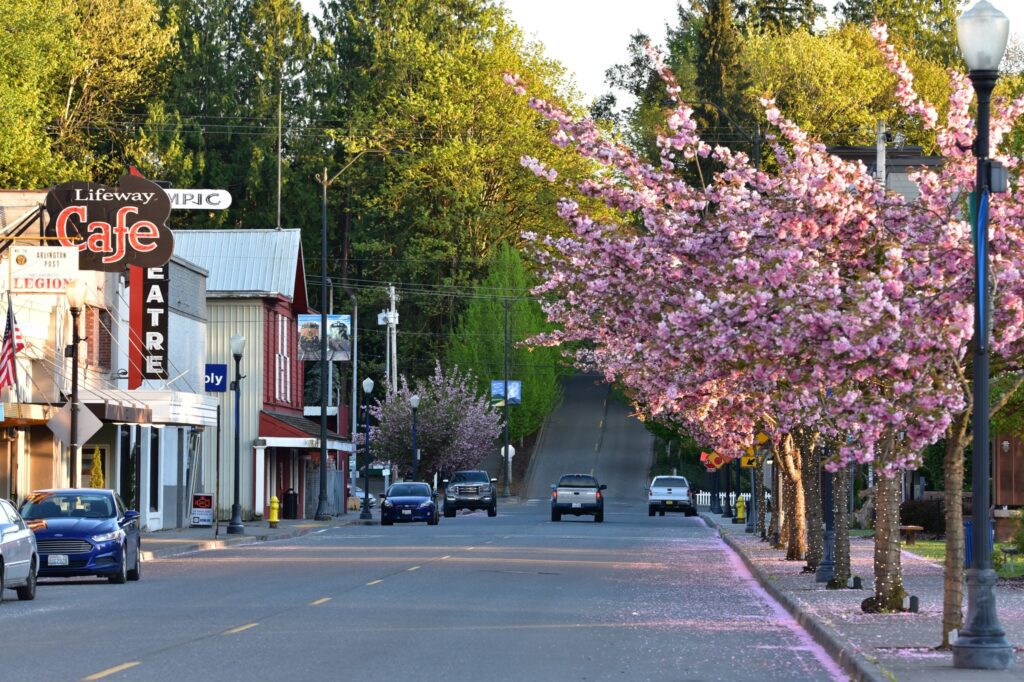 Property Management in Arlington, WA: What Local Rental Owners Need to Know